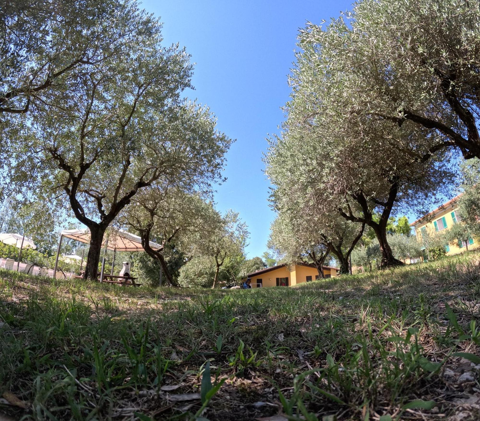 Agriturismo Gardenali 볼타 만토바나 객실 사진