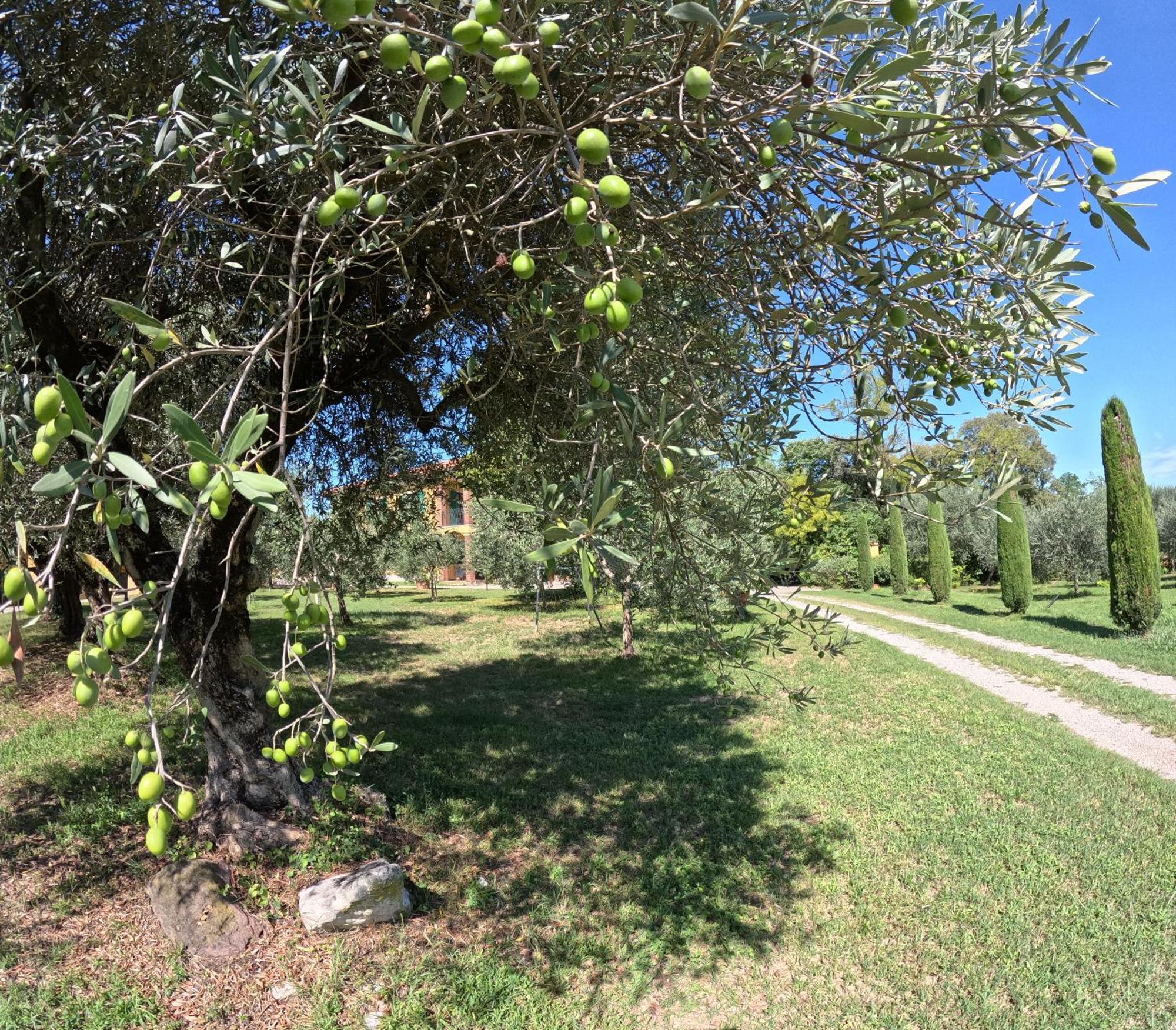 Agriturismo Gardenali 볼타 만토바나 외부 사진